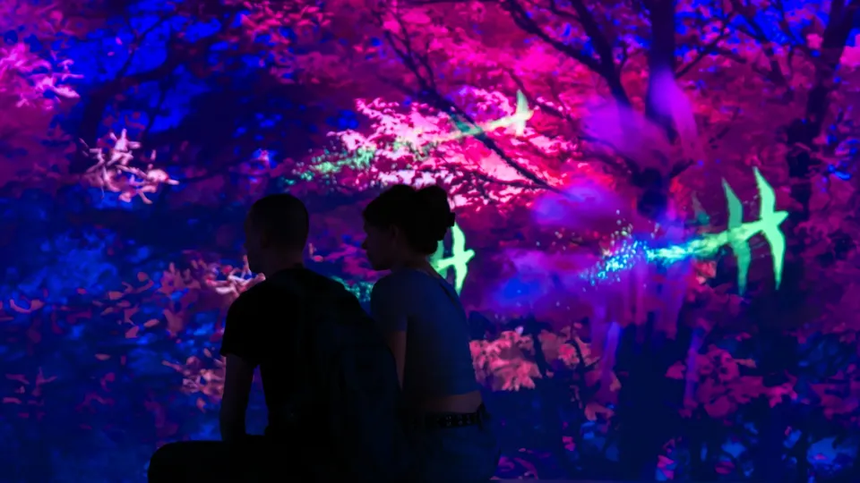 Visitors under projected trees at Culture House, Sunderland